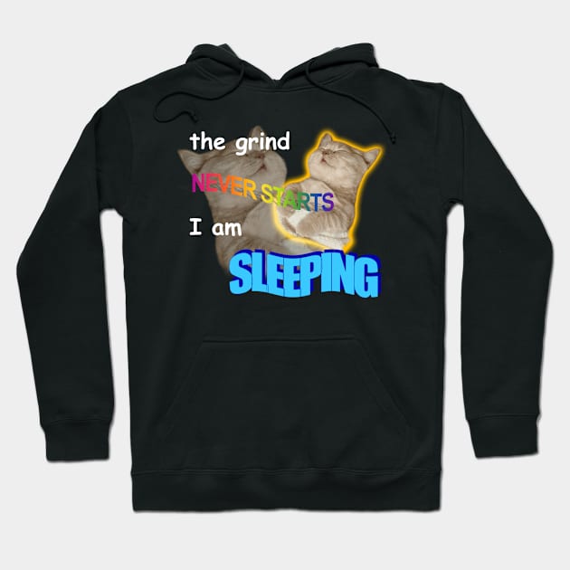 The Grind Never Starts I Am Sleeping Meme Hoodie by swankyswamprat